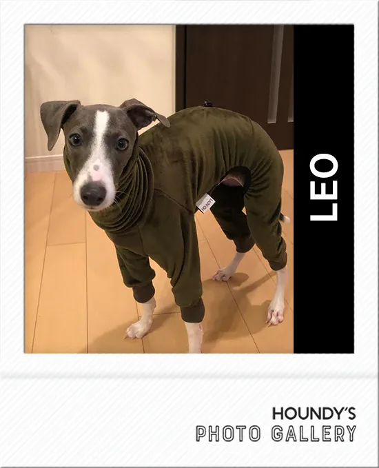 Italian Greyhound clothes Fleece Rompers Leo