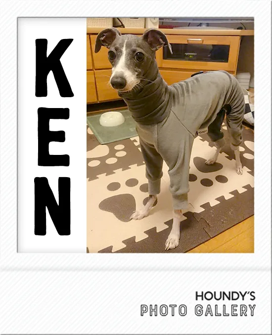 Italian Greyhound clothes Fleece Rompers Ken