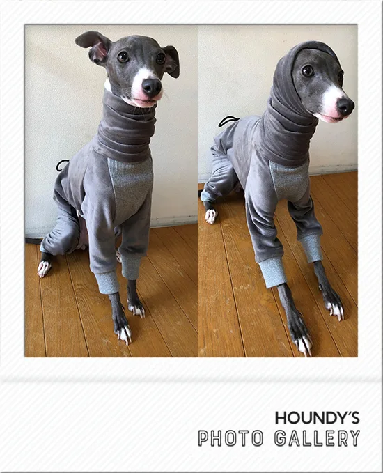 Italian Greyhound clothing Fleece Rompers Robin