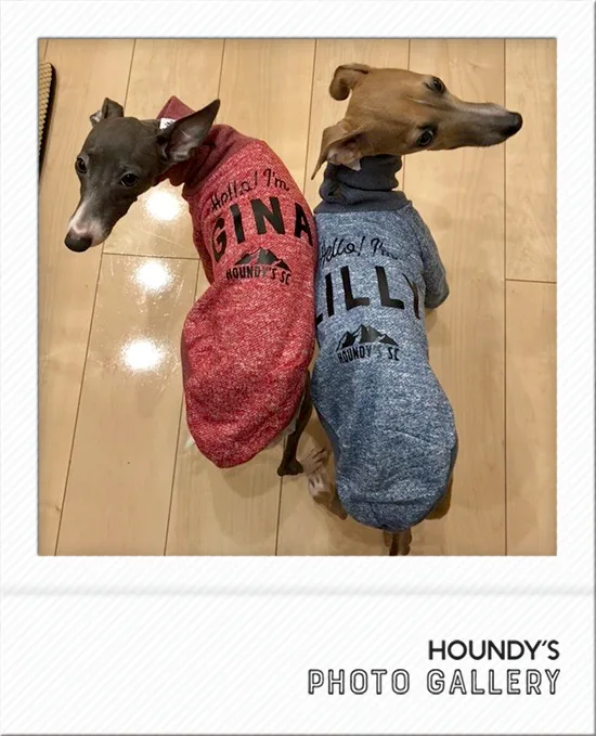 Iggy clothes Gina & Lilly