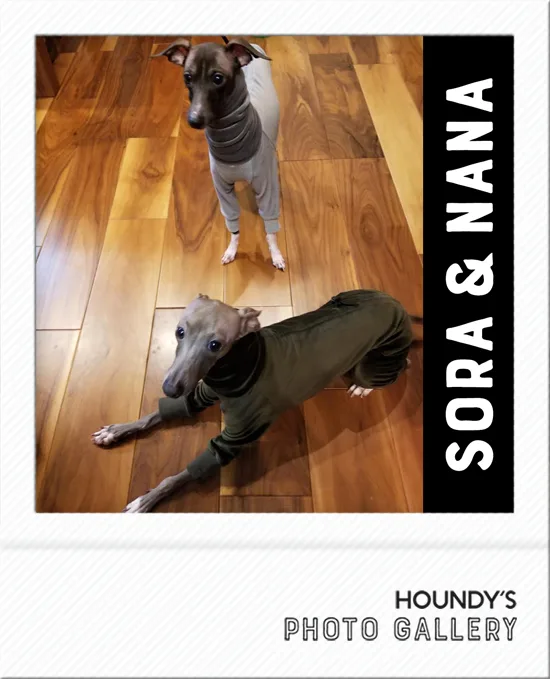 Italian Greyhound clothes Fleece Rompers Sora & Nana
