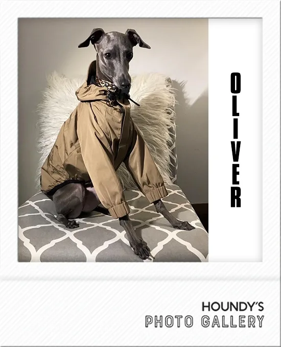 Designer dog clothes  Mountain Jacket Oliver