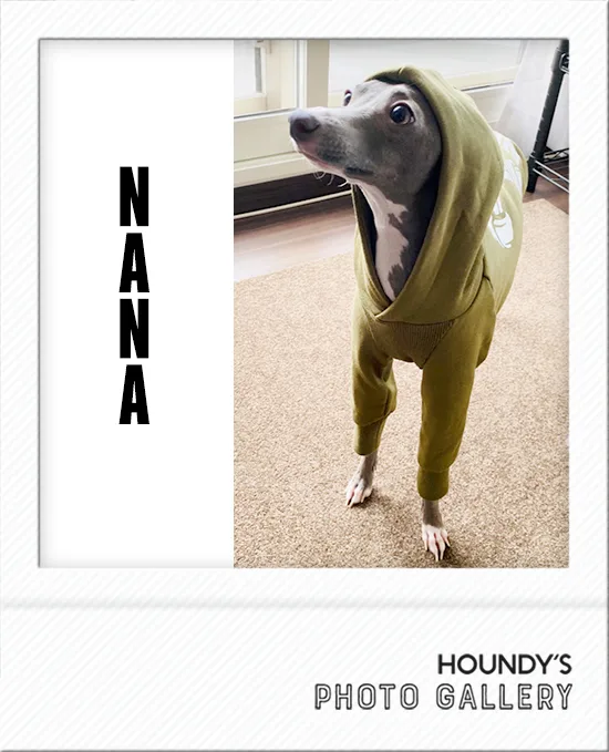 Custom dog clothes Pullover Hoodie Nana