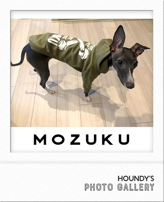 IGGY DOGWEAR clothing Customized Pullover Hoodie Mozuku