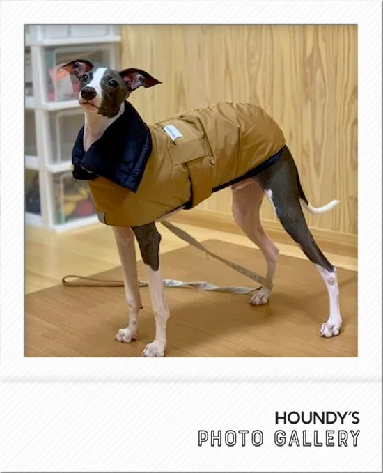 Italian Greyhound clothes Reversible Quilting Coat Leo