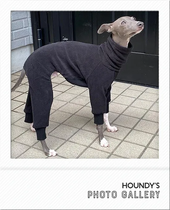 Italian Greyhound clothing  Light Fleece Rompers Buddy