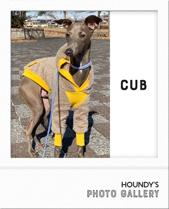 Italian Greyhound DOGWEAR Shaggy Fleece Hoodie Cub