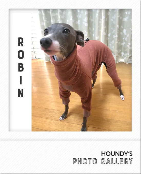 Designer dog clothes  Light Fleece Rompers Robin