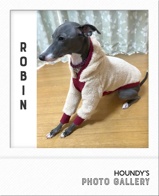 Custom dog clothes Shaggy Fleece Hoodie Robin