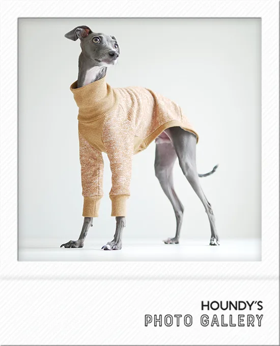 Italian Greyhound clothing  High Neck Sweat [heather Color]  Ita-kun