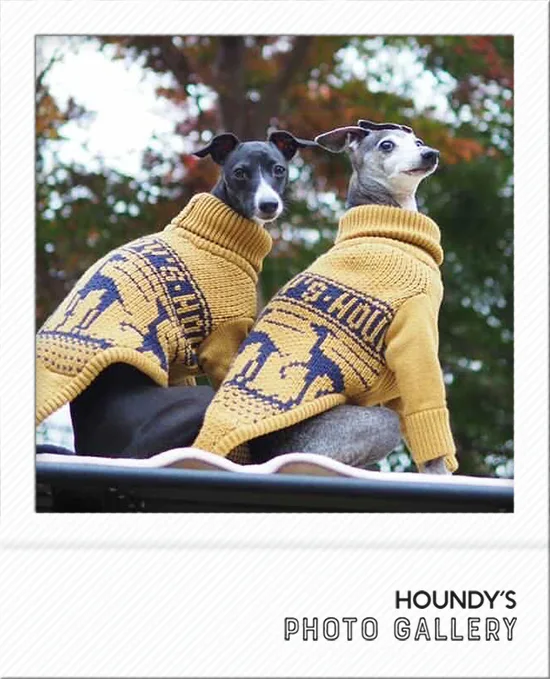 Italian Greyhound clothes Stripe Sweater Robbie & Tina