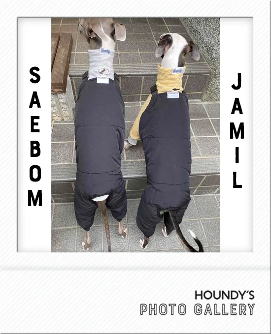 Dog clothing  Field Quilting Pants Jamiel & Sebomi