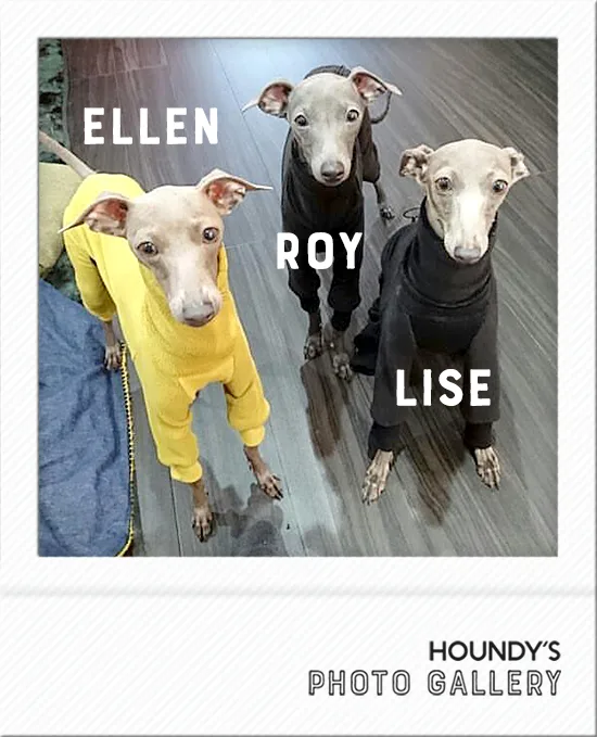 Italian Greyhound clothing  Light Fleece Rompers Ellen & Lisa & Roy